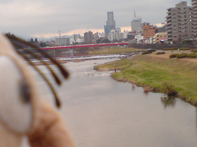 c0158573_1629155.jpg