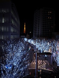 f0030875_23251537.jpg