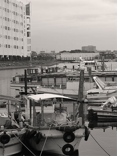 f0089079_2345076.jpg
