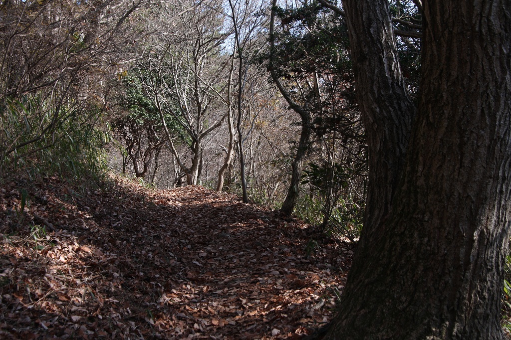 e0024081_16281156.jpg