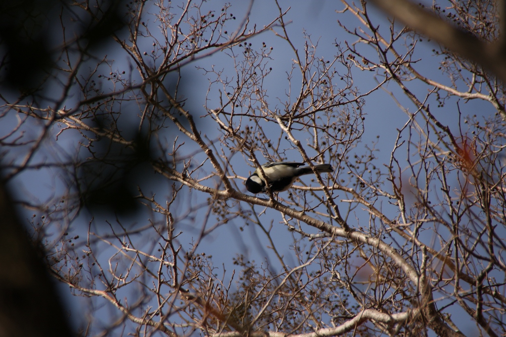 e0024081_16291575.jpg