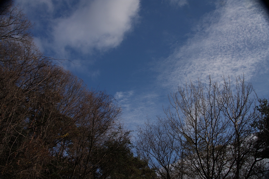 e0024081_1630121.jpg