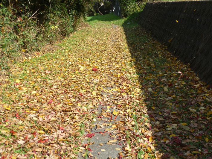 c0125283_1344372.jpg
