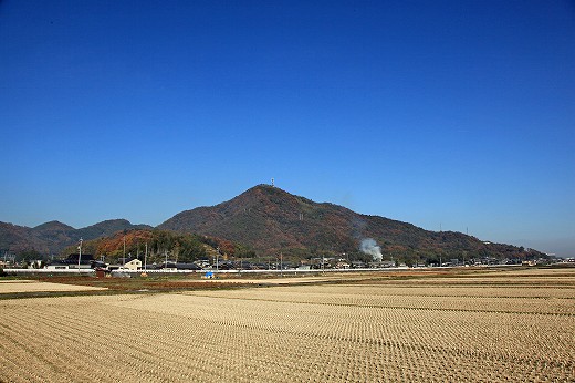 e0190885_19331713.jpg