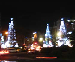 f0088586_20512446.jpg