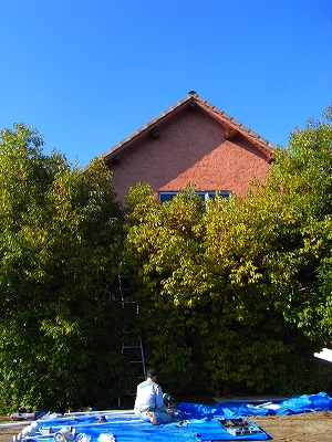 c0207890_075986.jpg