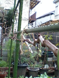 f0085291_17352843.jpg