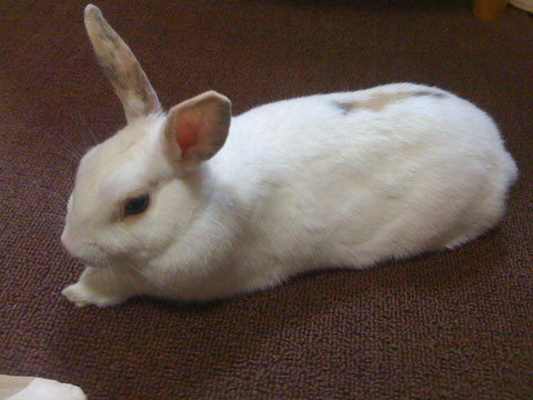 f0201191_23534059.jpg