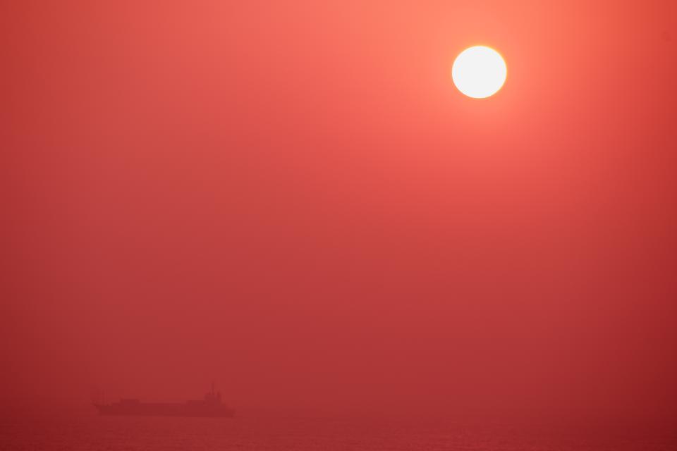 d0069495_035352.jpg