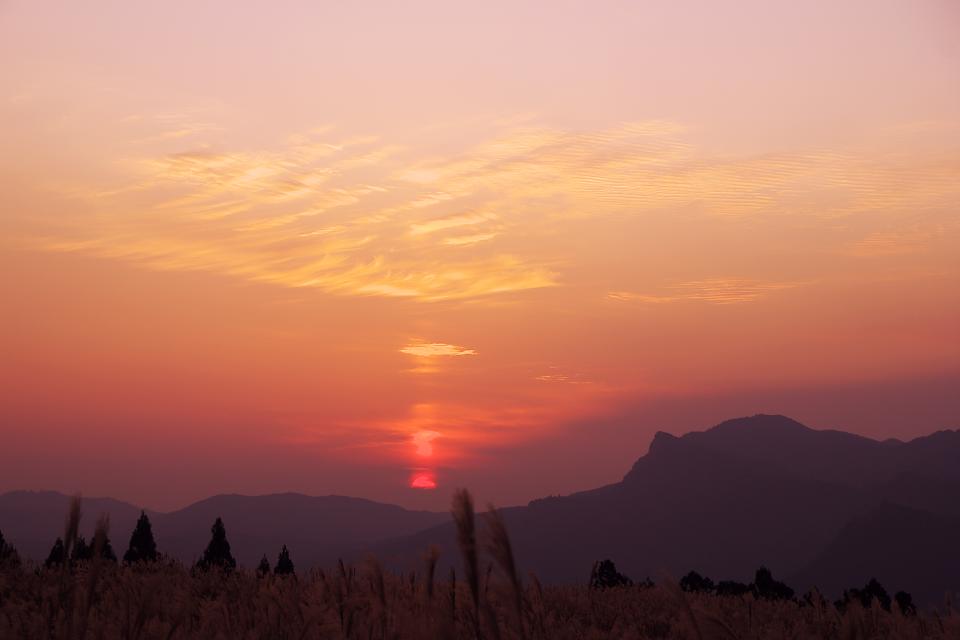 d0069495_041085.jpg
