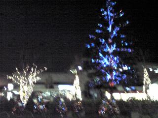 f0122998_105242.jpg
