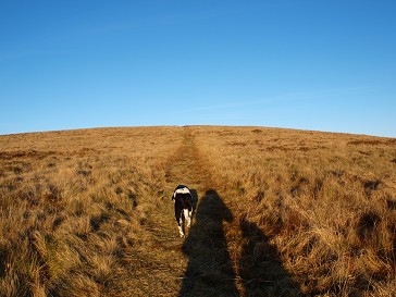 b0110999_2125116.jpg