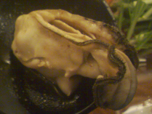 f0197703_15322142.jpg