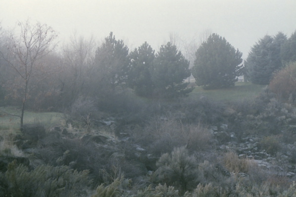 b0088205_1413387.jpg