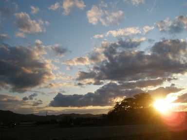 c0205806_1736464.jpg