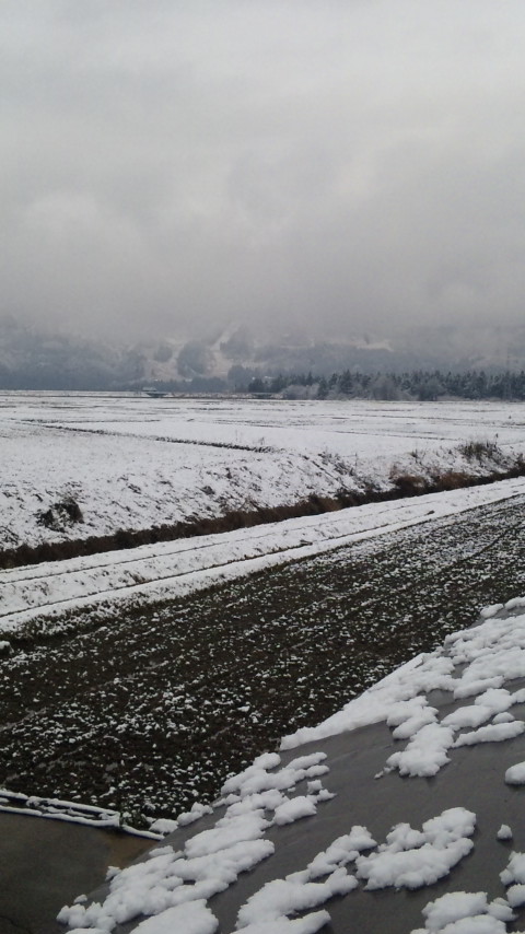 f0121909_8272959.jpg