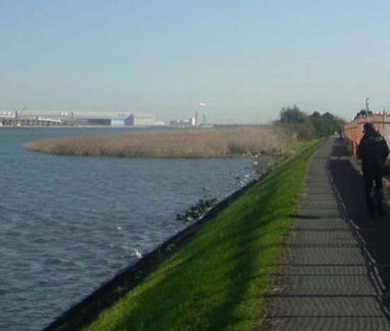 e0144012_23183348.jpg