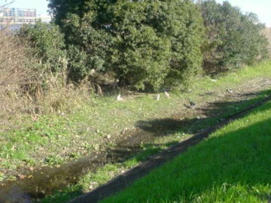 e0144012_23185881.jpg