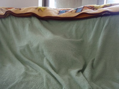 c0145016_12375159.jpg