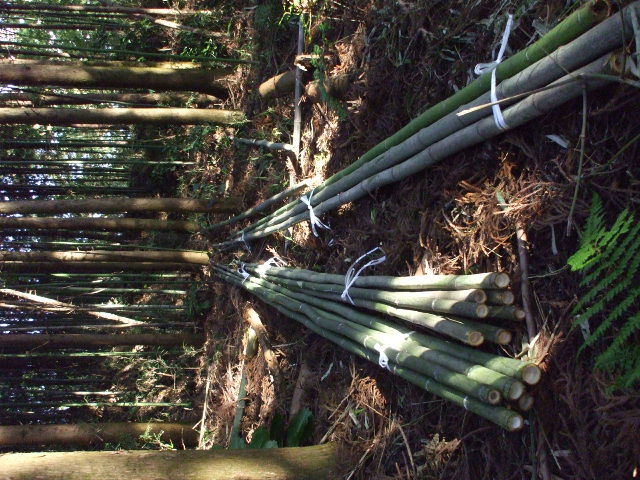 b0096418_17182960.jpg