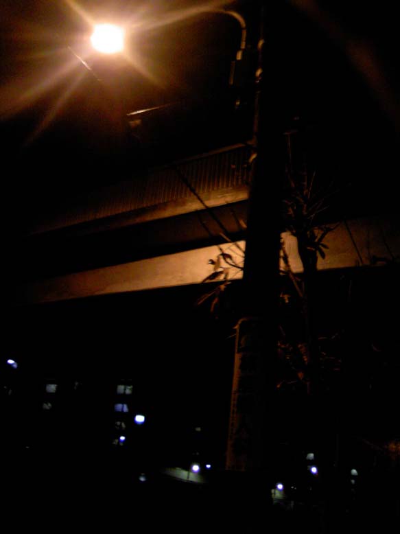 c0083518_13494223.jpg