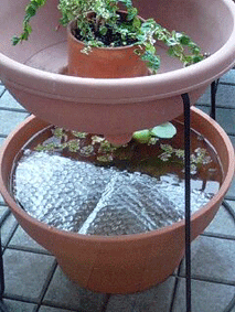 d0048332_13305331.gif