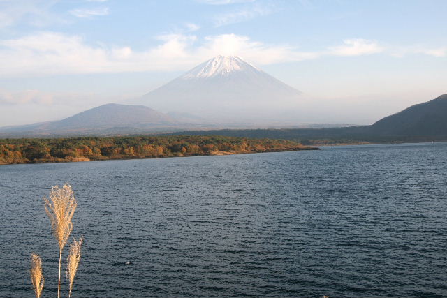 e0064133_152892.jpg