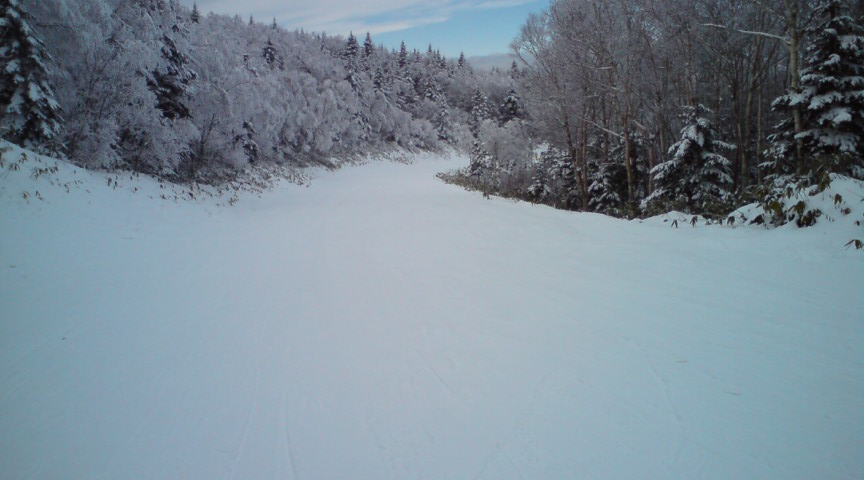 c0054838_8415875.jpg