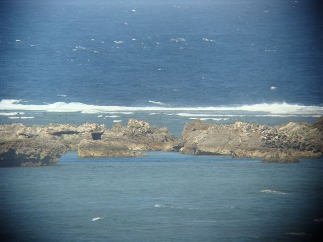 d0146038_14263698.jpg