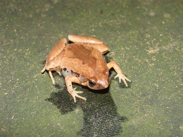 d0146038_14355361.jpg