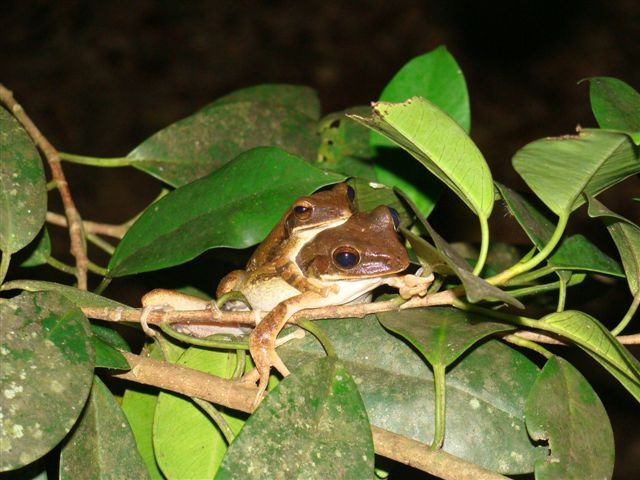 d0146038_14361978.jpg