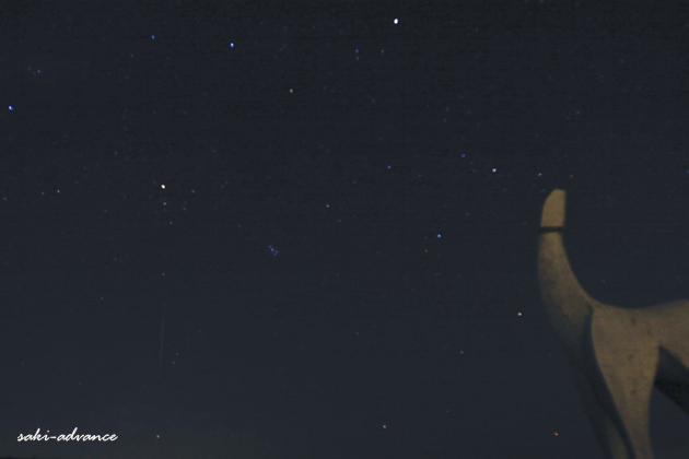 c0001445_2356491.jpg