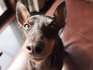 c0123149_18591430.jpg