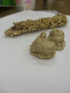f0009451_2041119.jpg