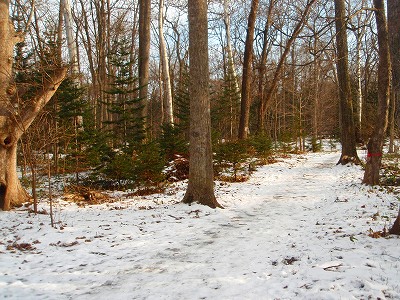 e0004756_21591666.jpg