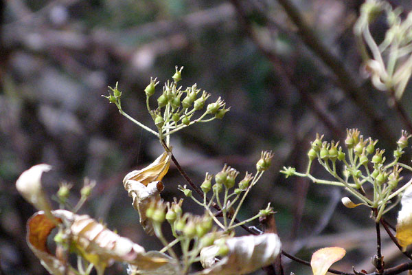 f0007956_2265177.jpg