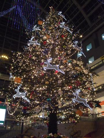 f0149057_118988.jpg