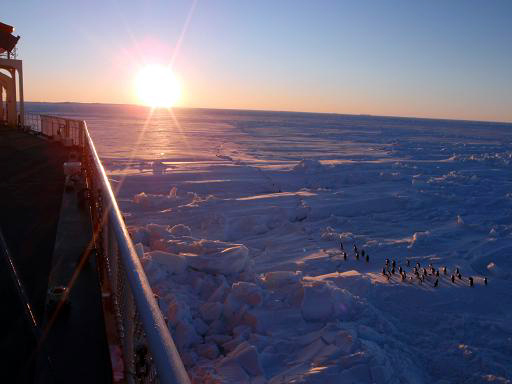 e0151758_1922816.jpg