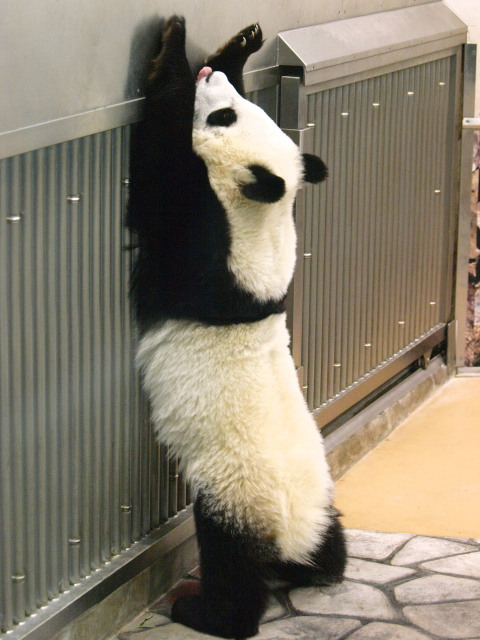 c0186760_21441632.jpg