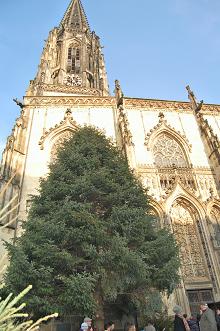 f0097363_535838.jpg