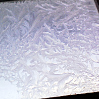 a0050669_1012343.jpg