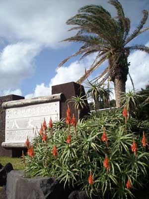 e0097770_2245053.jpg