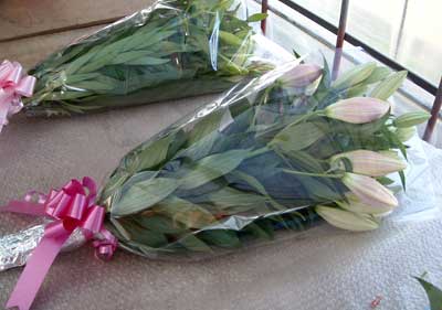 e0097770_2251590.jpg
