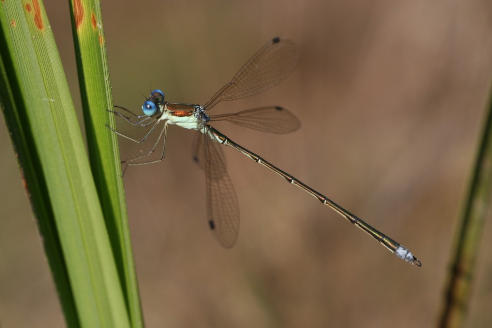 b0088772_145941.jpg