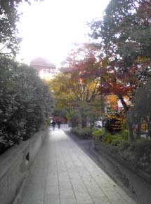 d0142773_0142778.jpg