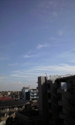 a0152078_13315675.jpg