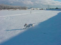 c0072379_234987.jpg