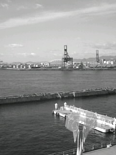 f0100480_18373870.jpg