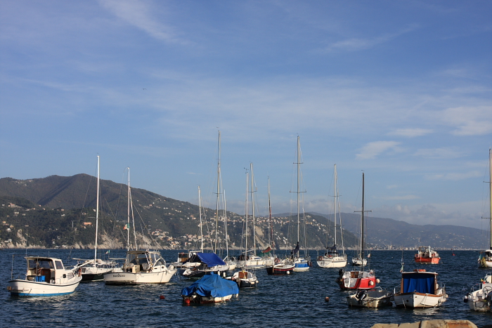 c0130986_1040414.jpg