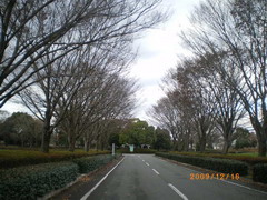 a0143388_8443582.jpg